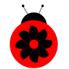 Lily Bug Image